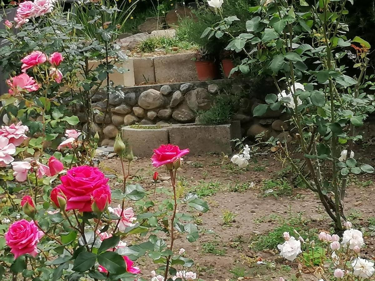 Aanhuizen Guest House 斯韦伦丹 外观 照片