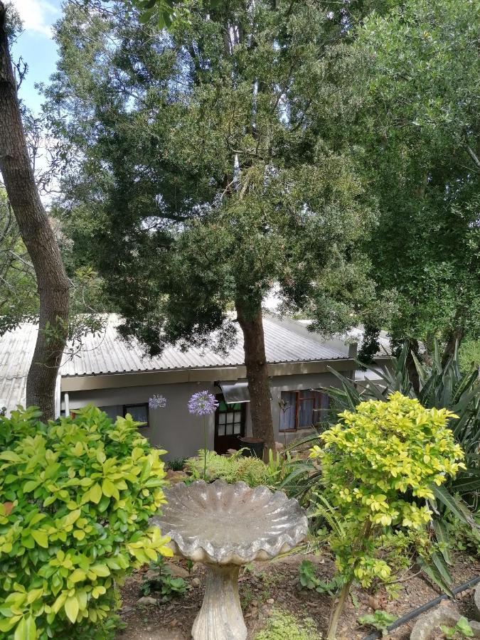 Aanhuizen Guest House 斯韦伦丹 外观 照片